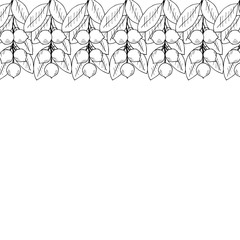 Tamanu tree, liner, border