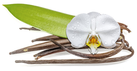orchidée blanche sur gousses de vanille Bourbon
