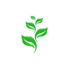 leaf sun vector logo