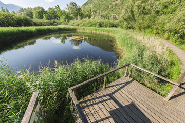 Biotope at Lake Caldaro