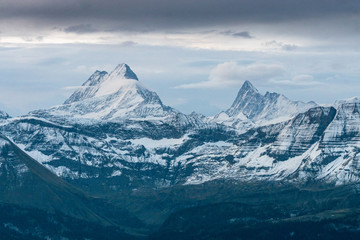 Obraz na płótnie Canvas Schreckhorn und Finsteraarhorn in den Berner Alpen
