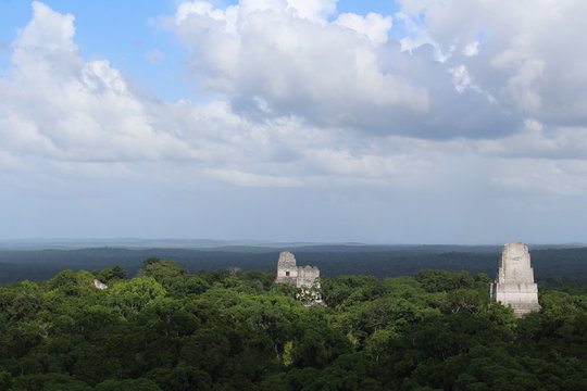 Più piramidi Maya che sbucano dalla giungla di Tikal verso un cielo pieno di nuvole. Guatemala