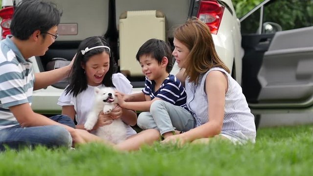 Asian family playing with siberian husky puppy in the park slow motion 
