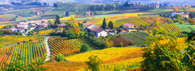 Pictorial countryside and beautiful vineyards of Piemonte in autumn colors. Italy