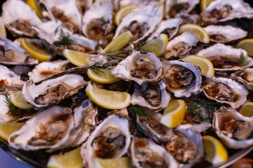 many opened oysters on plate top view close up