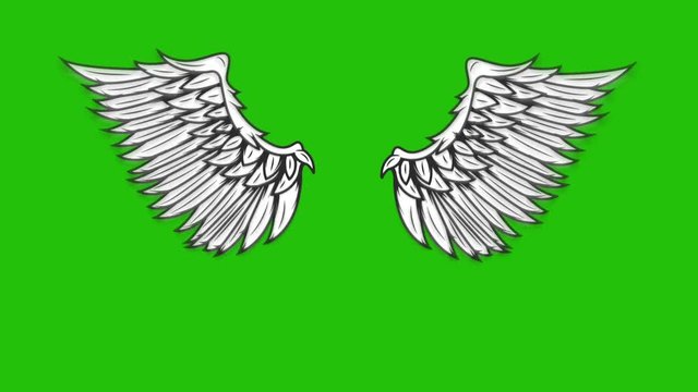 Фото крыльев на зеленом фоне Pictures Of Angel Wings Видеоматериалы: просматривайте 738 стоковое видео в форм