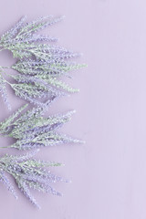 Lavender flower on purple wooden background.