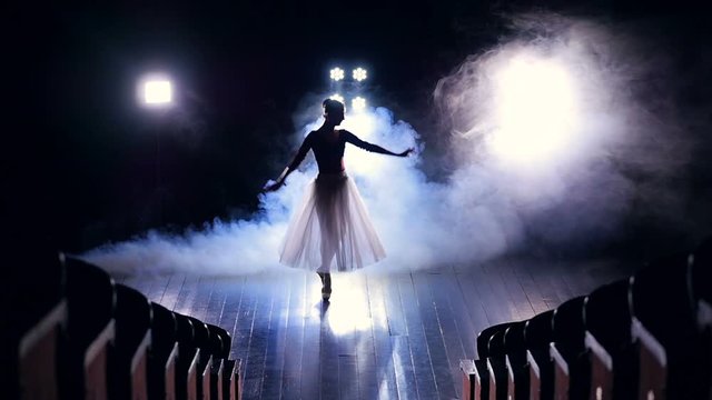 A view from between the sitting rows on a dancing ballerina. 