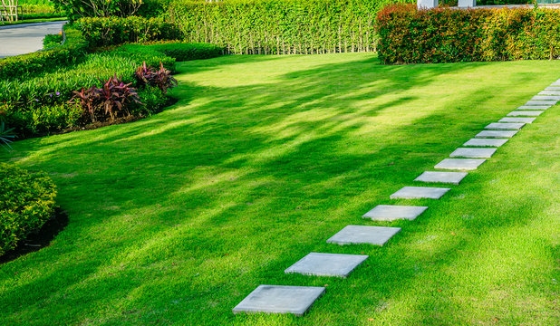 Fototapeta Pathway in garden,green lawns with bricks pathways,garden landscape design