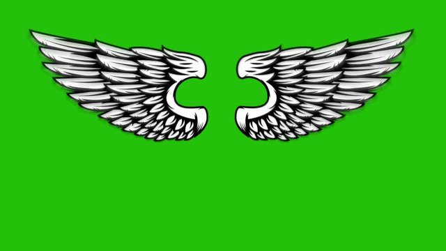Animation of flying wings on green background. Angel wings animation.