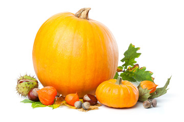 Studio shot of a single, isolated pumpkin with leaves and physalis flowers on white background.