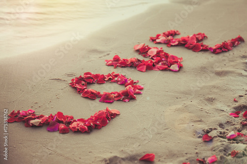 Word Love Made Of Red Rose Petals Symbol Of Love Screen Saver For