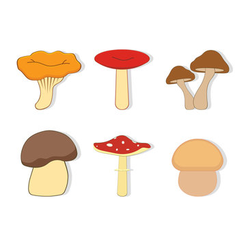 set with mushrooms