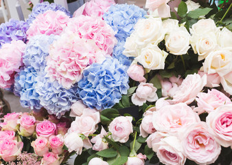 Hydrangeas and roses on the flower market