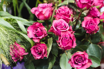 Pink roses on a flower market