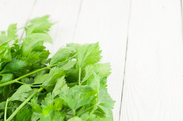 Fototapeta premium Heap of green fresh raw celery on old wooden white rustic planks