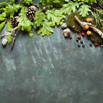 Different green tree branches, berries and mushrooms making frame. Concept for holidays in countryside and camping.