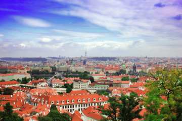 Fototapeta premium Top view to red tile roofs of Prague city Czech republic. Typical Prague houses. Wide angle panorama.