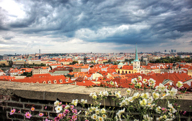 Top view through flowers to red tile roofs of Prague city Czech republic, beautiful blue sky with clouds. Typical Prague houses.