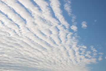 Fototapeta na wymiar Altocumulus stratiformis undulatus clouds