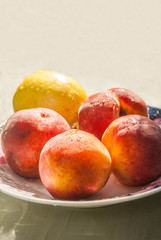 ripe juicy peaches on a plate in the sunlight