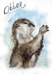 Otter with paws up begging not to compare them to Cumberbatch