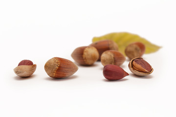 Hazelnuts