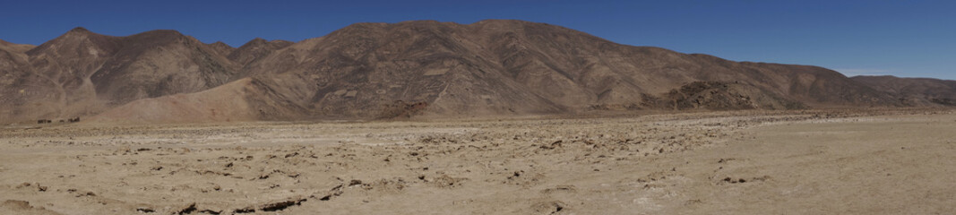 Large group of ancient petroglyphs on the hillsides at Cerro Pintados in the Atacama Desert in the Tarapaca Region of northern Chile. 