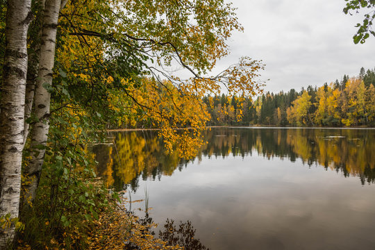 Autumn in Finland, lake and forest, nature photography. Travel.