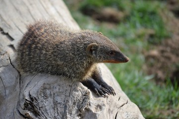 Parque Natural SendaViva Navarra España