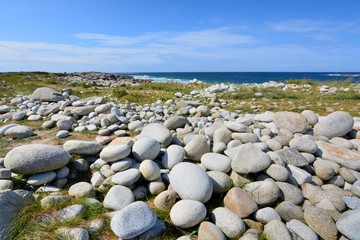 Fototapeta na wymiar Gros galets sur la côte de l'île Grande à Pleumeur-Bodou en Bretagne