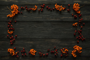 autumn frame made of rowan and rose hip berries on a wooden background