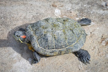 Parque Natural SendaViva Navarra España
