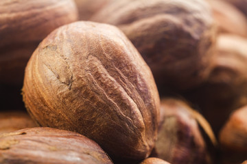 Raw brown hazelnut on heap, macro image