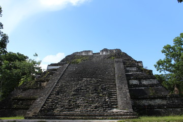 Fototapeta na wymiar La piramide Maya piena di gradini a Tikal svetta in mezzo alla natura, con dietro un cielo azzurro, Guatemala