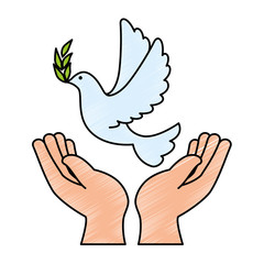 hands human with dove of peace