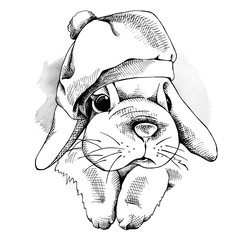 Naklejka premium The image of the small rabbit in the beret hat. Vector illustration.