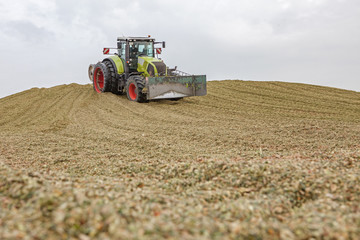 Obraz premium Maisernte Trecker fährt Silage auf Silo