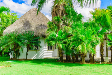 house with a roof made of palm branches
