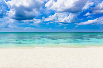 Obraz premium paradise tropical beach palm Caribbean Dominican Republic