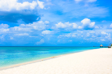 Fototapeta na wymiar paradise tropical beach palm Caribbean Dominican Republic