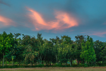 Obraz premium Beautiful colorful sunset