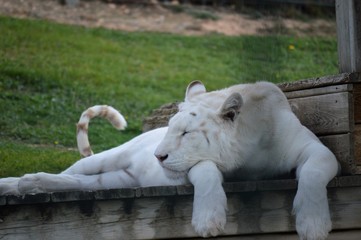 Parque Natural SendaViva Navarra España