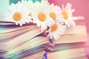 Chamomile flowers on books