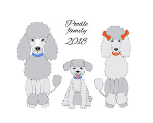 Funny new year card with poodle family