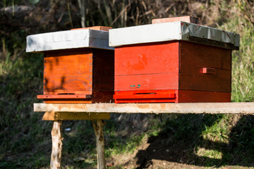 Wooden hive for bees, beekeeping, honey, health, healthy life