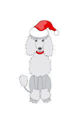 santa poodle girl