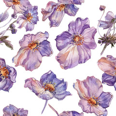 Phlox flowers hand drawn watercolor pattern