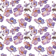 Fototapeta premium Phlox flowers hand drawn watercolor pattern