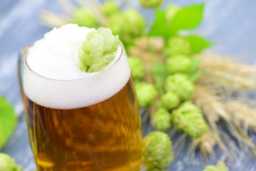 Bier,Hopfen